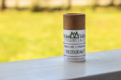 Wixel Valley Essentials Mango-Lime and Spearmint Deodorant