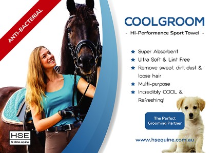 HSE CoolGroom Hi-Performance Sport Towel
