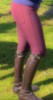 teQ Benson Breeches