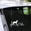 Vivant Equi Horse Electrocardiogram Decal