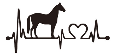 Vivant Equi Horse Electrocardiogram Decal