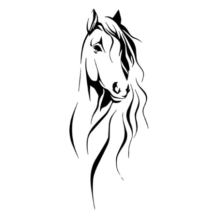 Vivant Equi Horse Sketch Decal NZ | Wall Truck Float Decal | Equestrian ...