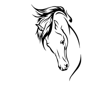 Vivant Equi Horse Head Sketch Decal