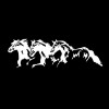 Vivant Equi Triple Horse Decal