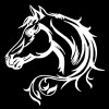 Vivant Equi Horse Head Decal