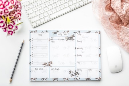 Emily Cole Pony Weekly Desk Planner