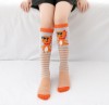 Vivant Equi Socks - Childrens 