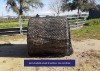 GutzBusta® Knotless Hay Net - Round 