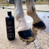 The Show Horse - 3 in 1 Whitening Wash Sample Pack
