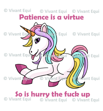 Vivant Equi 'Patience is a virtue. So is hurry the fuck up' mug