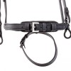 Kavalkade Everness Bridle