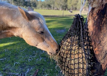 GutzBusta® Knotless Hay Net - Small