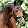 Kavalkade Browband - Diamond