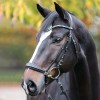 Kavalkade Browband - Sparkle