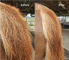 Vivant Equi Smoother Mane and Tail Brush
