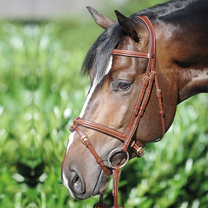 Kavalkade Lorenz Bridle