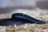 Vivant Equi Smoother Mane and Tail Brush