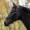 Kavalkade Zora Bridle 