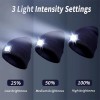 Vivant Equi Beanie with Rechargeable LED Light