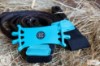 Vivant Equi Phone Holder