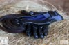 Vivant Equi Grooming Gloves