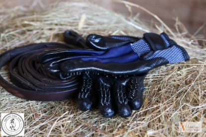 Vivant Equi Grooming Gloves