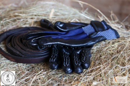 Vivant Equi Grooming Gloves