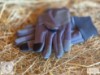 Vivant Equi Winter Gloves
