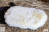 Vivant Equi Merino Polishing Mitt