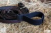 Haboo Equestrian Tack Mate
