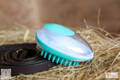 Vivant Equi 2-in-1 Bath and Groom Brush