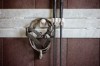 EquiHook Magnetic Whip & Kit Holder