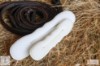 Vivant Equi Bun Maker