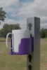 Purple Horse Cup Holder