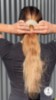 Vivant Equi Bun Donut