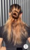 Vivant Equi Bun Donut
