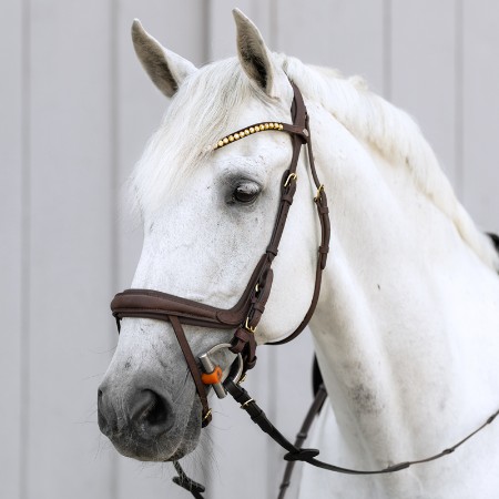 Kavalkade Caliano Bridle 
