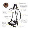 Kavalkade Caliano Bridle 