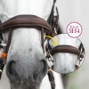 Kavalkade Caliano Bridle 