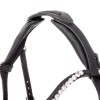 Kavalkade Caliano Bridle 