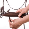 Kavalkade Caliano Bridle 
