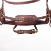 Kavalkade Caliano Bridle 