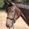 Kavalkade Diana Bridle 