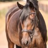 Kavalkade Diana Bridle 