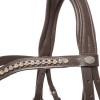 Kavalkade Diana Bridle 